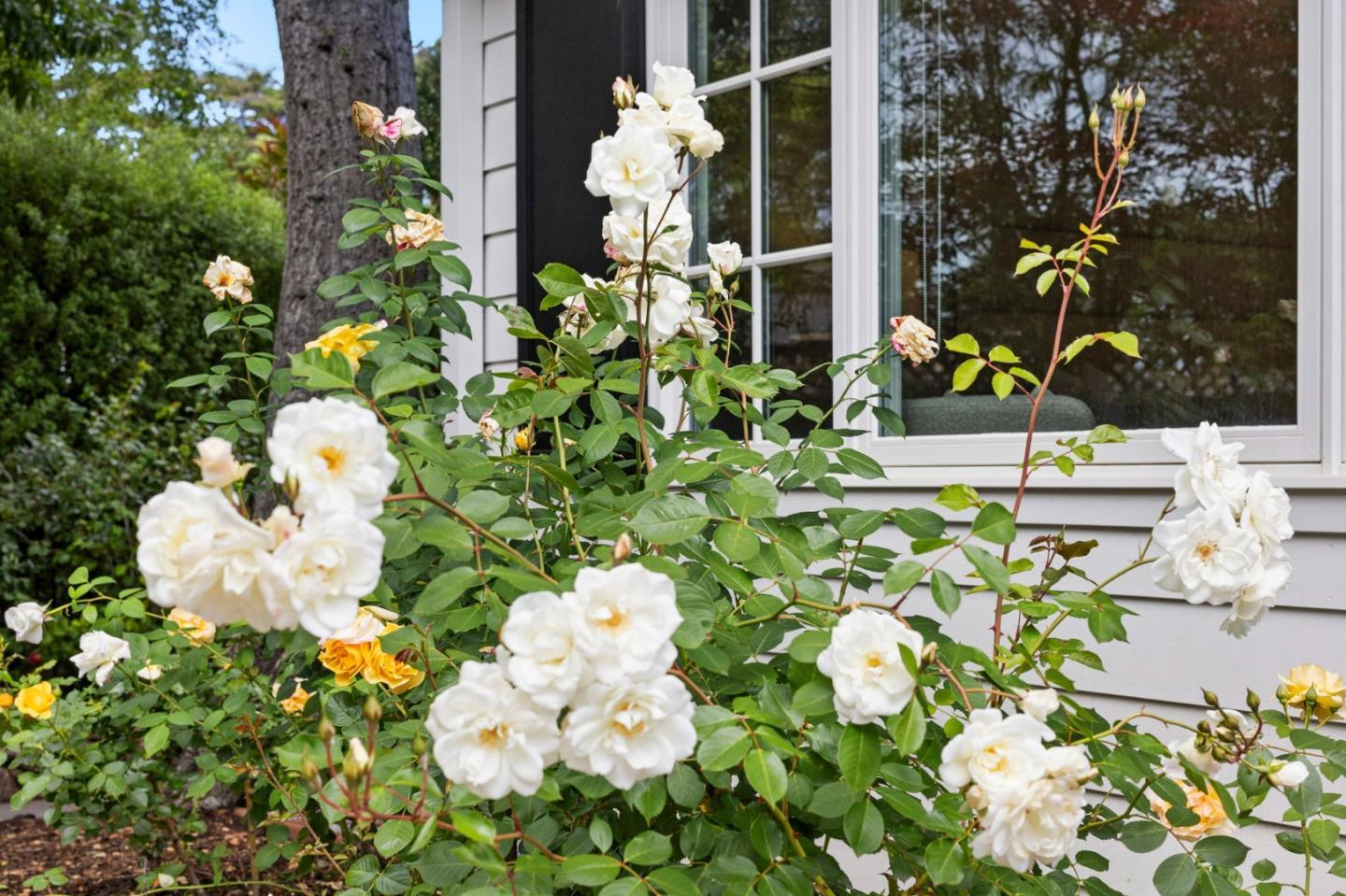 300 Uplands Drive, Hillsborough, CA, 94010