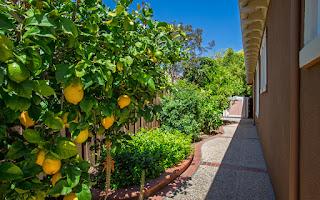 18665 Purissima Way, Morgan Hill, CA, 95037