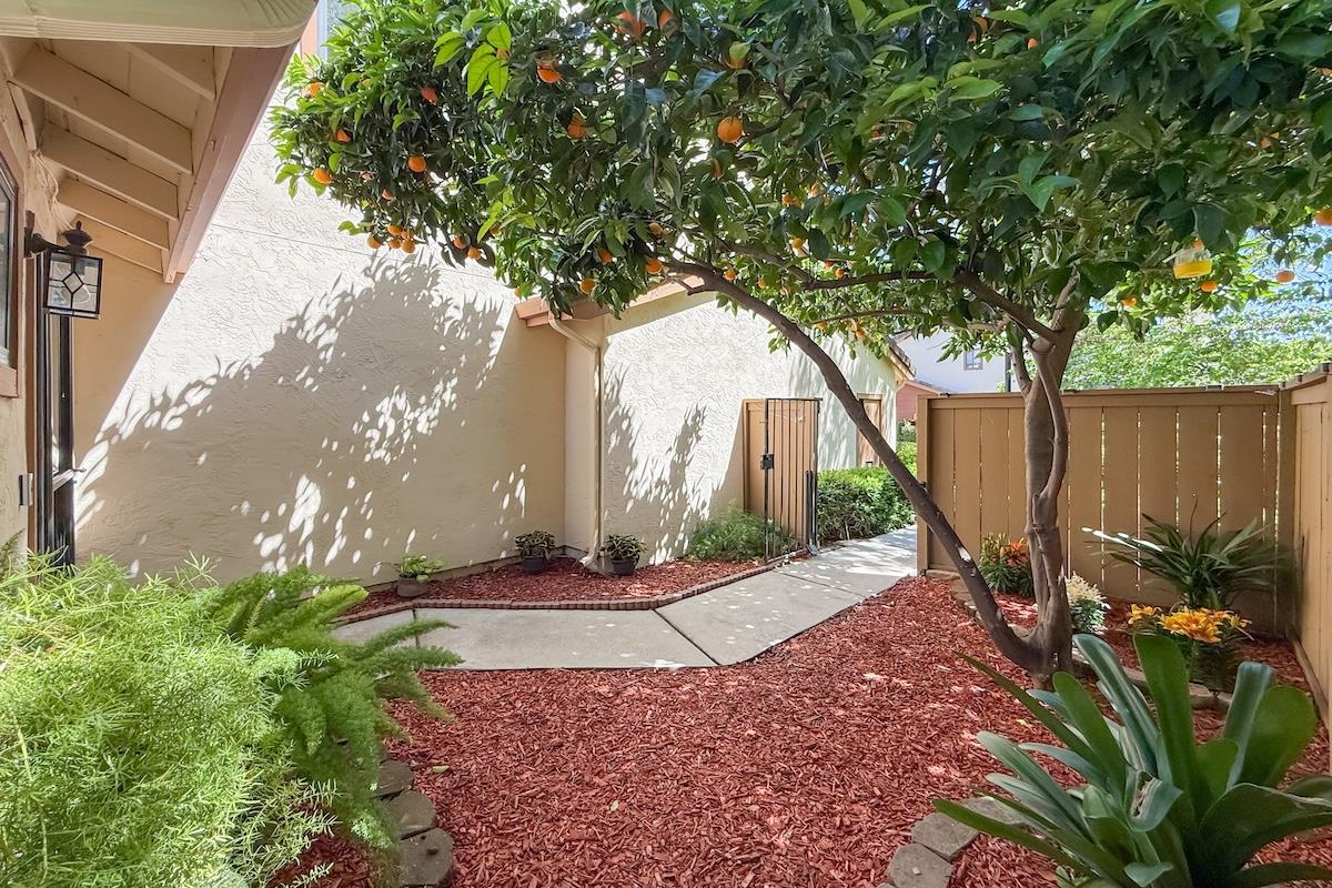 Photo #9: ML82044610 Listing: Photo #9