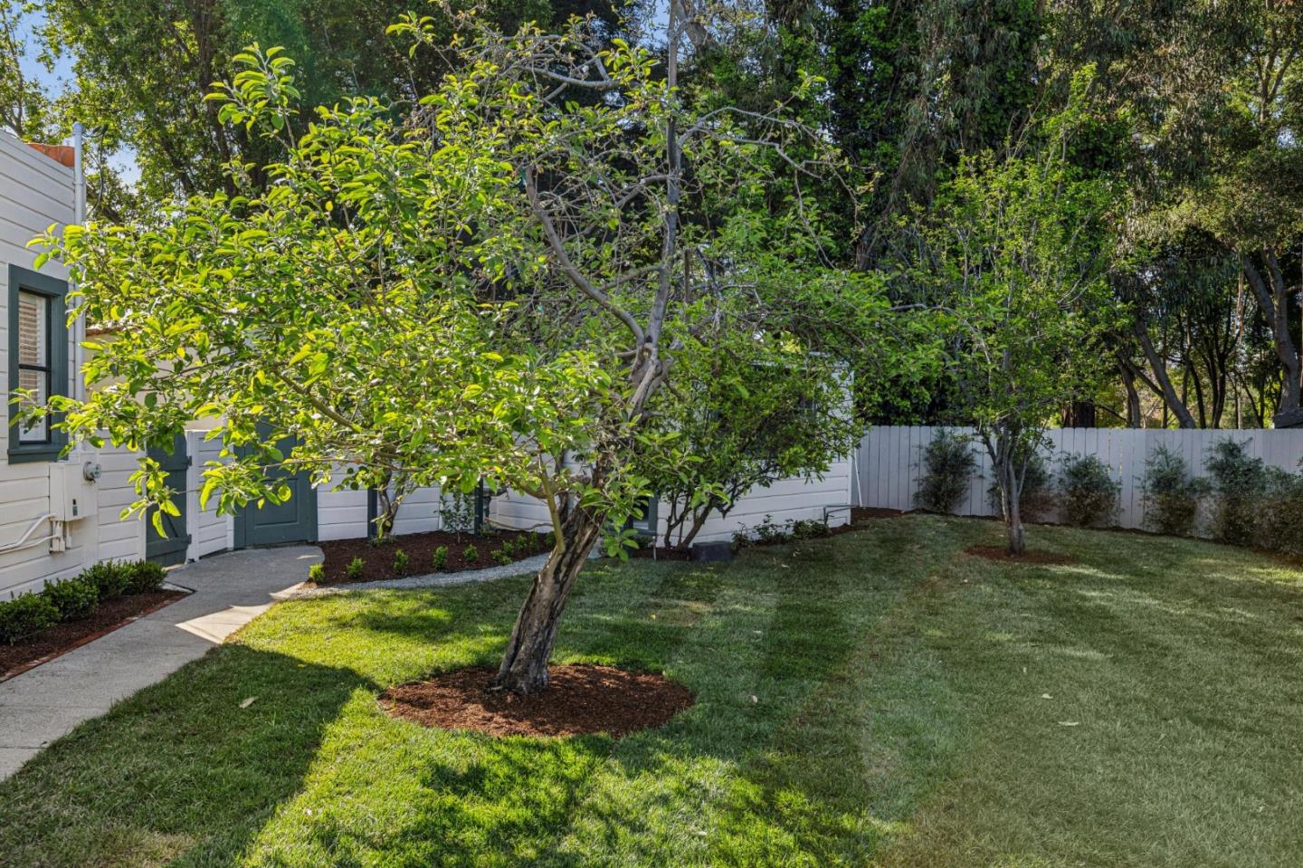 Photo 105