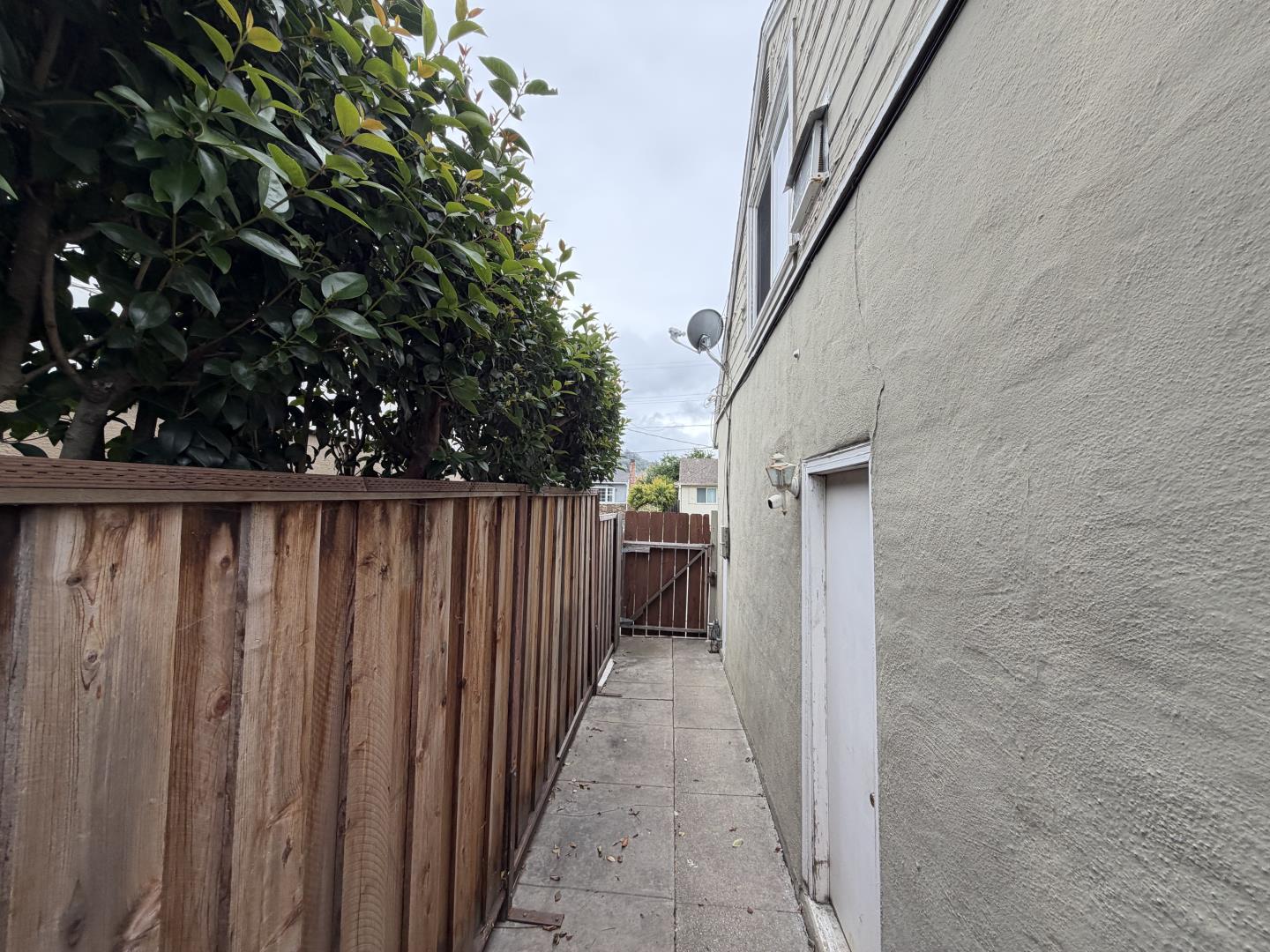 Photo 29
