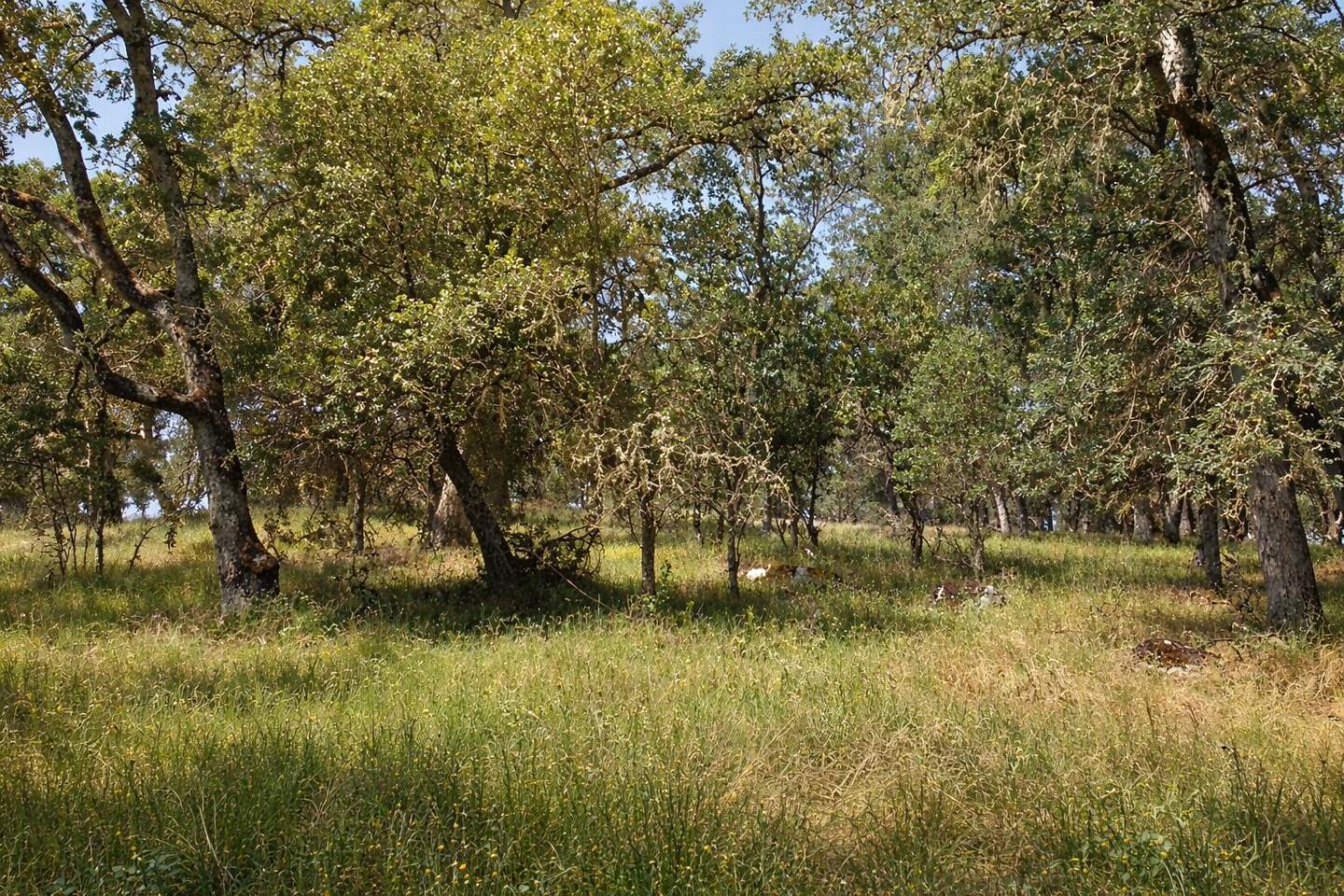 5622 Del Sol Lane, San Andreas, CA, 95249