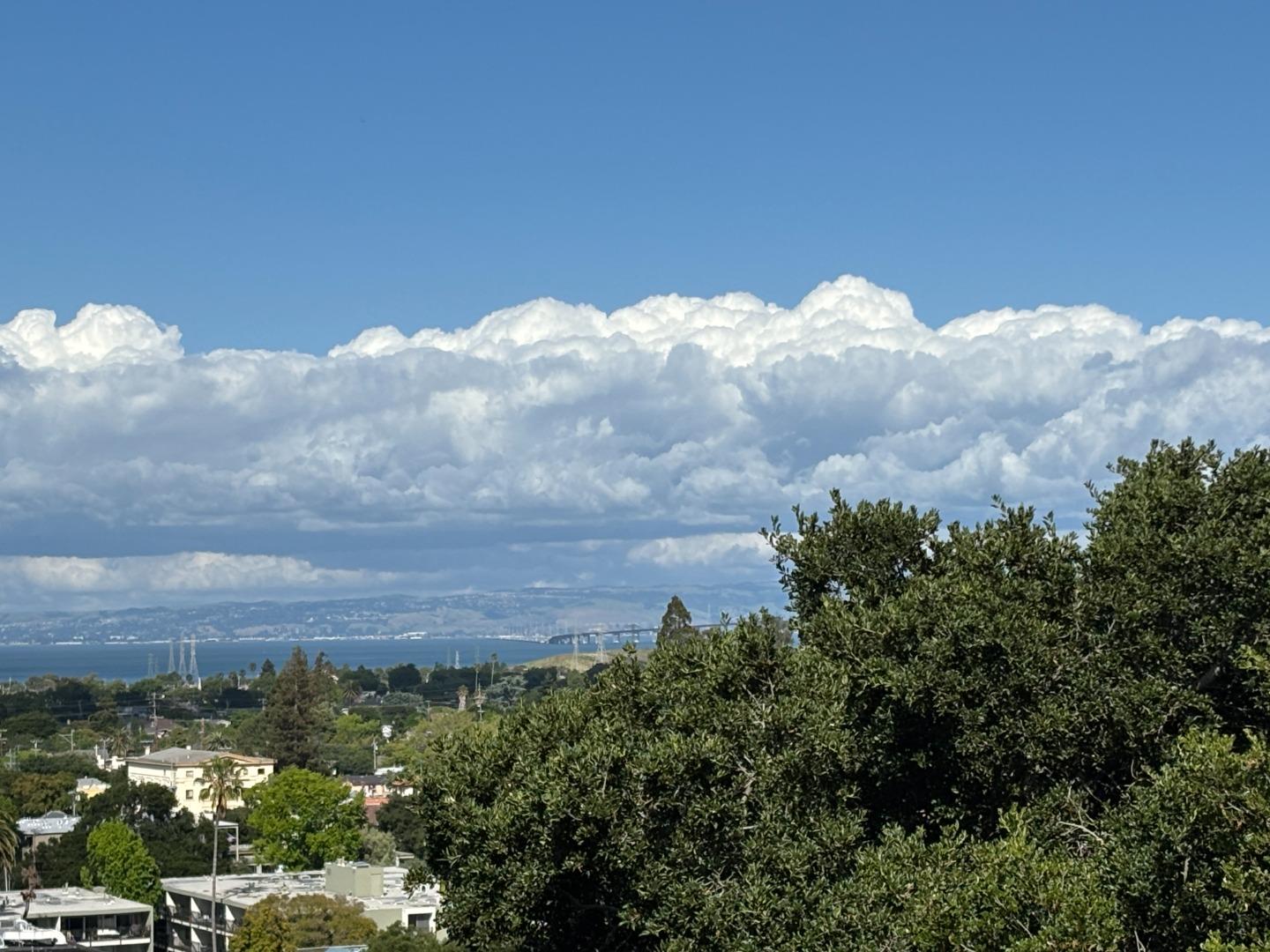 Photo #31: ML82044747 Listing: Photo #31
