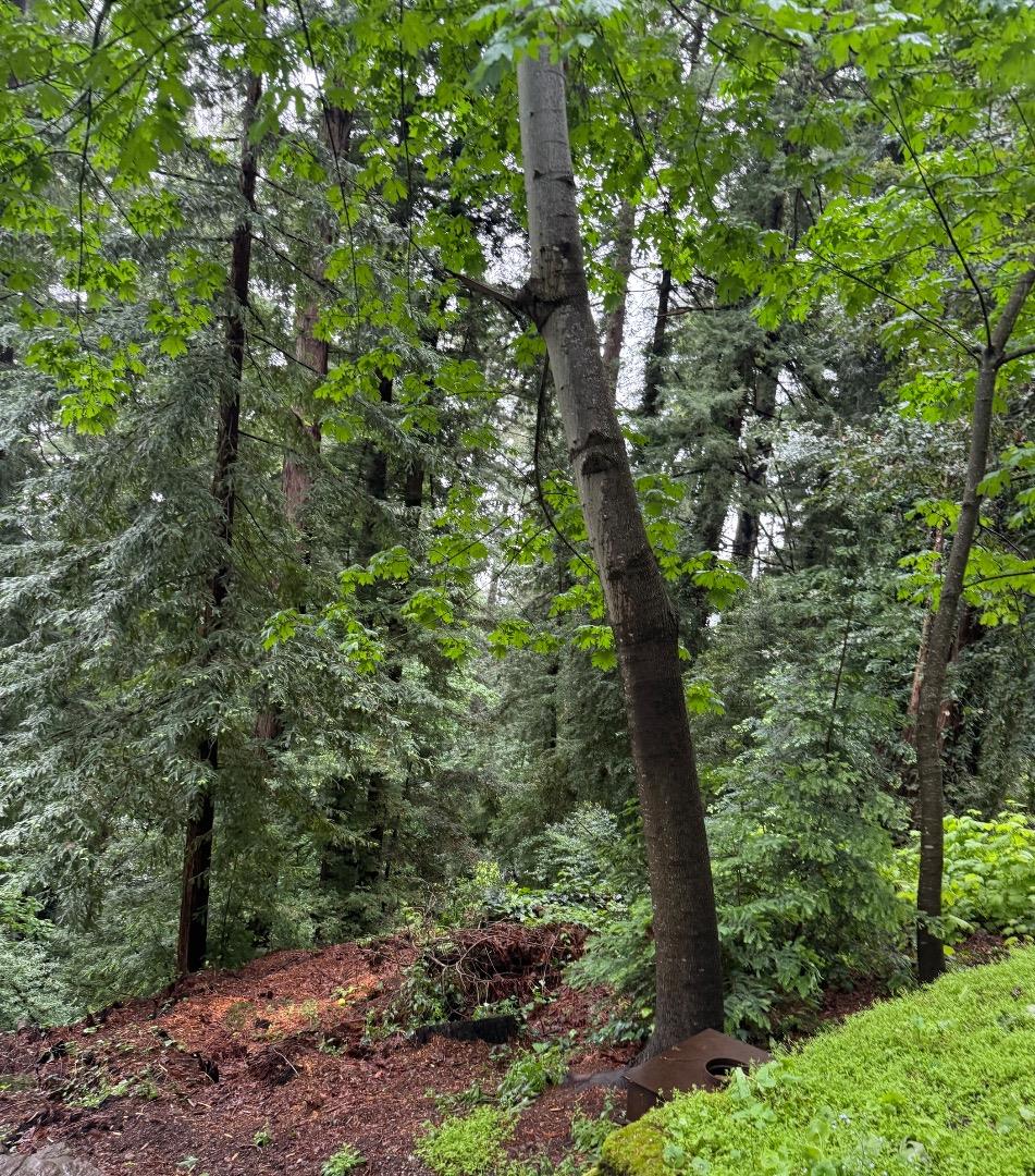 Front Image Thumbnail for ML82044777