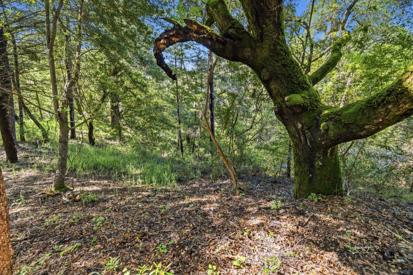 Front Image Thumbnail for ML82044799