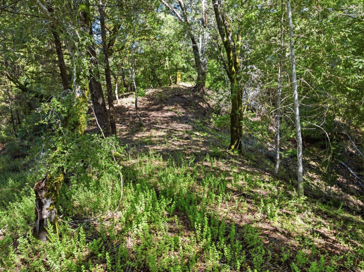 360 Rincon WAY, BoulderCreek, CA 95006, Photo 3