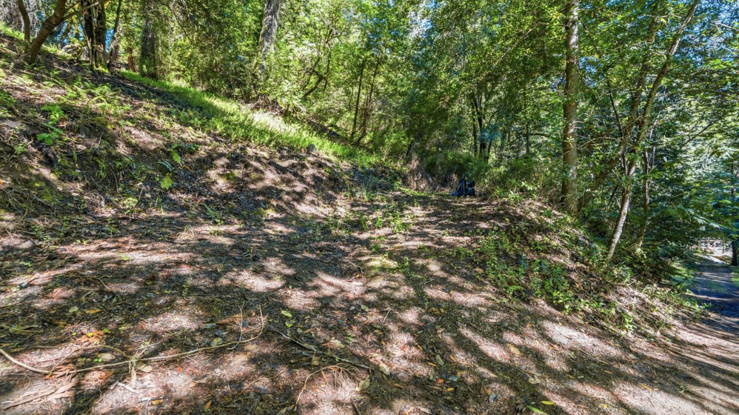 360 Rincon WAY, BoulderCreek, CA 95006, Photo 7