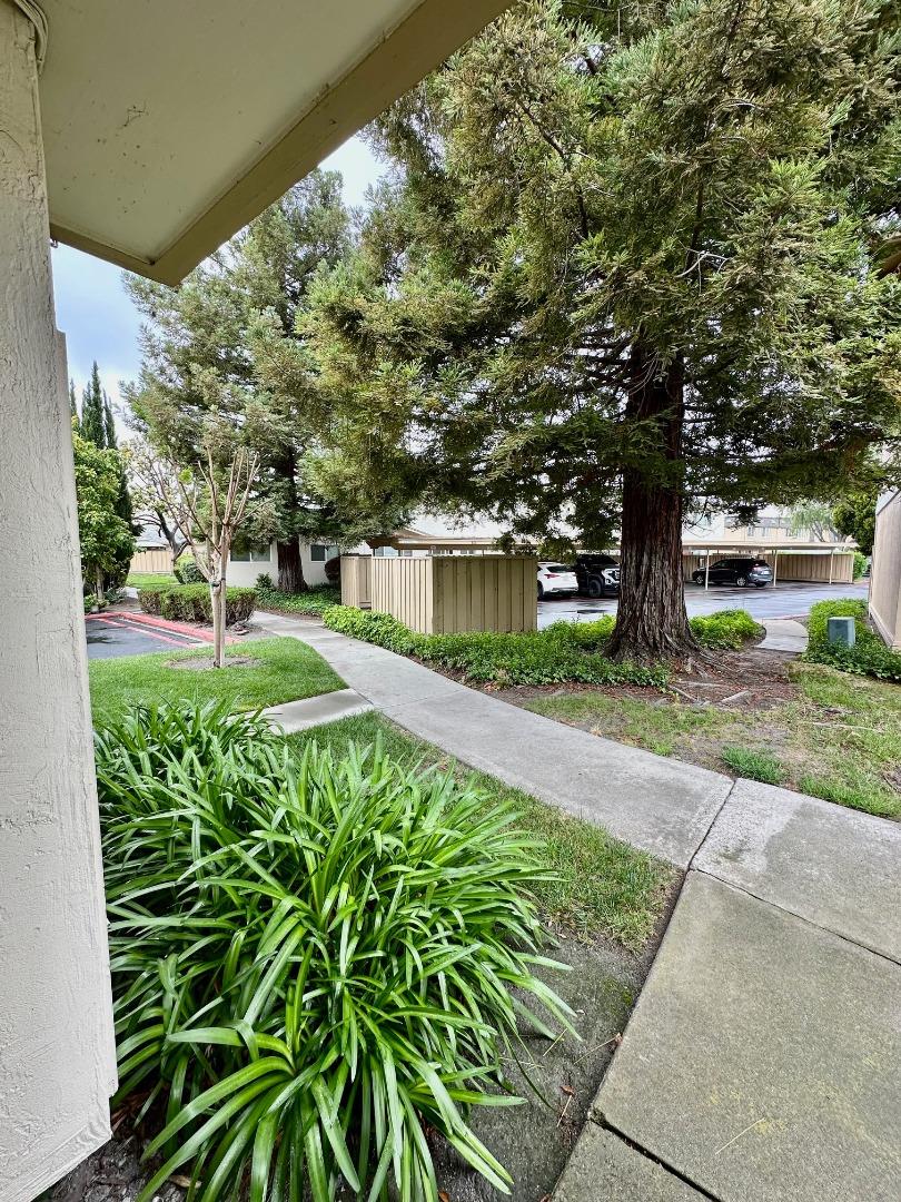 Photo #5: ML82044890 Listing: Photo #5