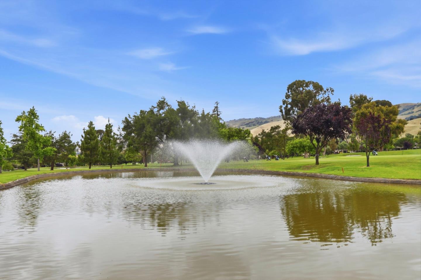 Photo #55: ML82044993 Listing: Photo #55