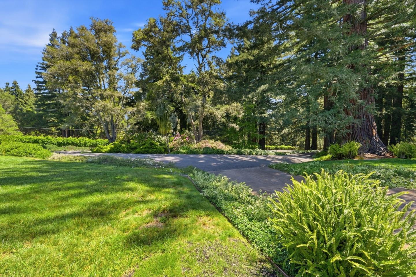 350 Corralitos Ridge RD, WatsonvilleSCC, CA 95076, Photo 5