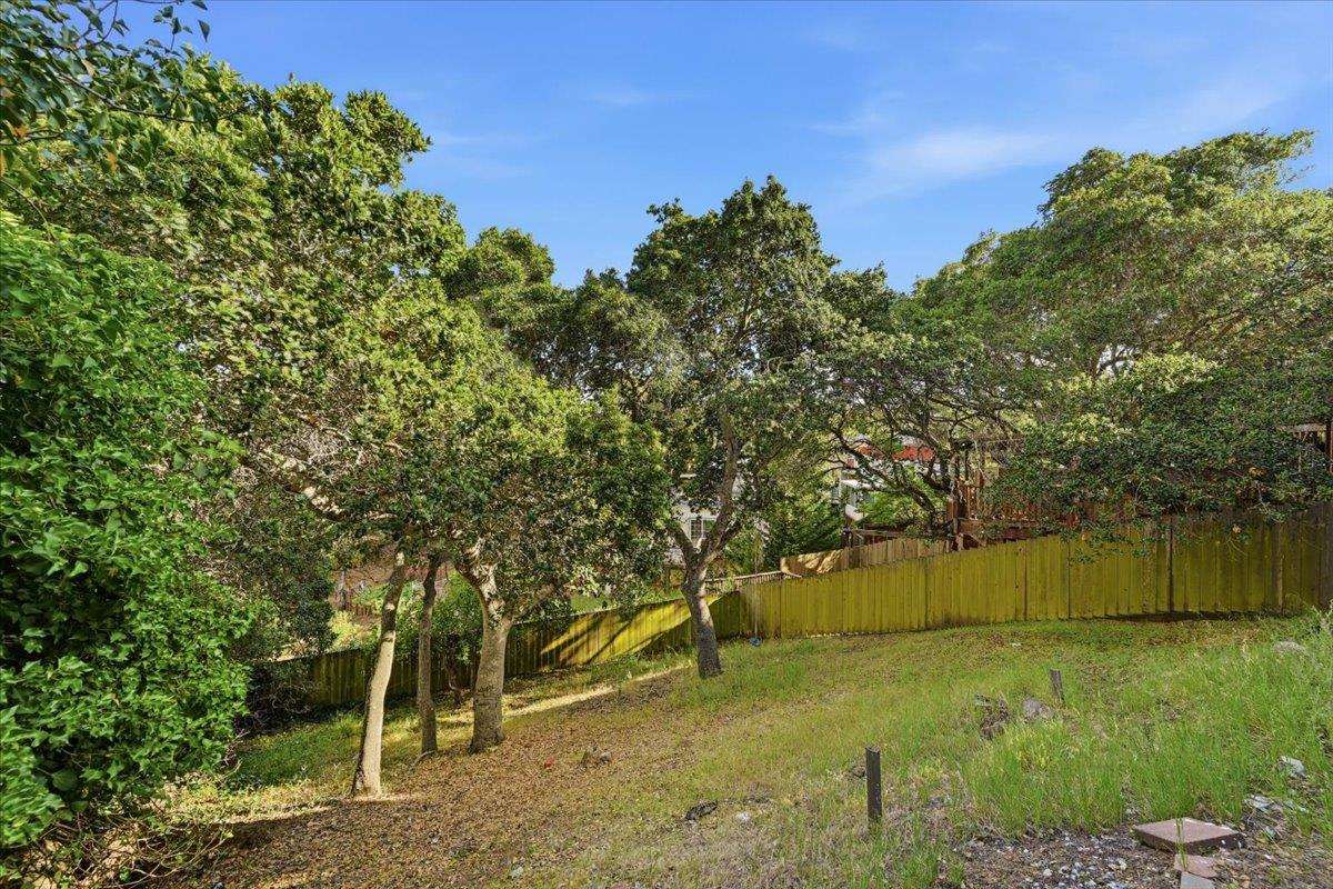 2517 Read Ave, Belmont, CA 94002 photo 54