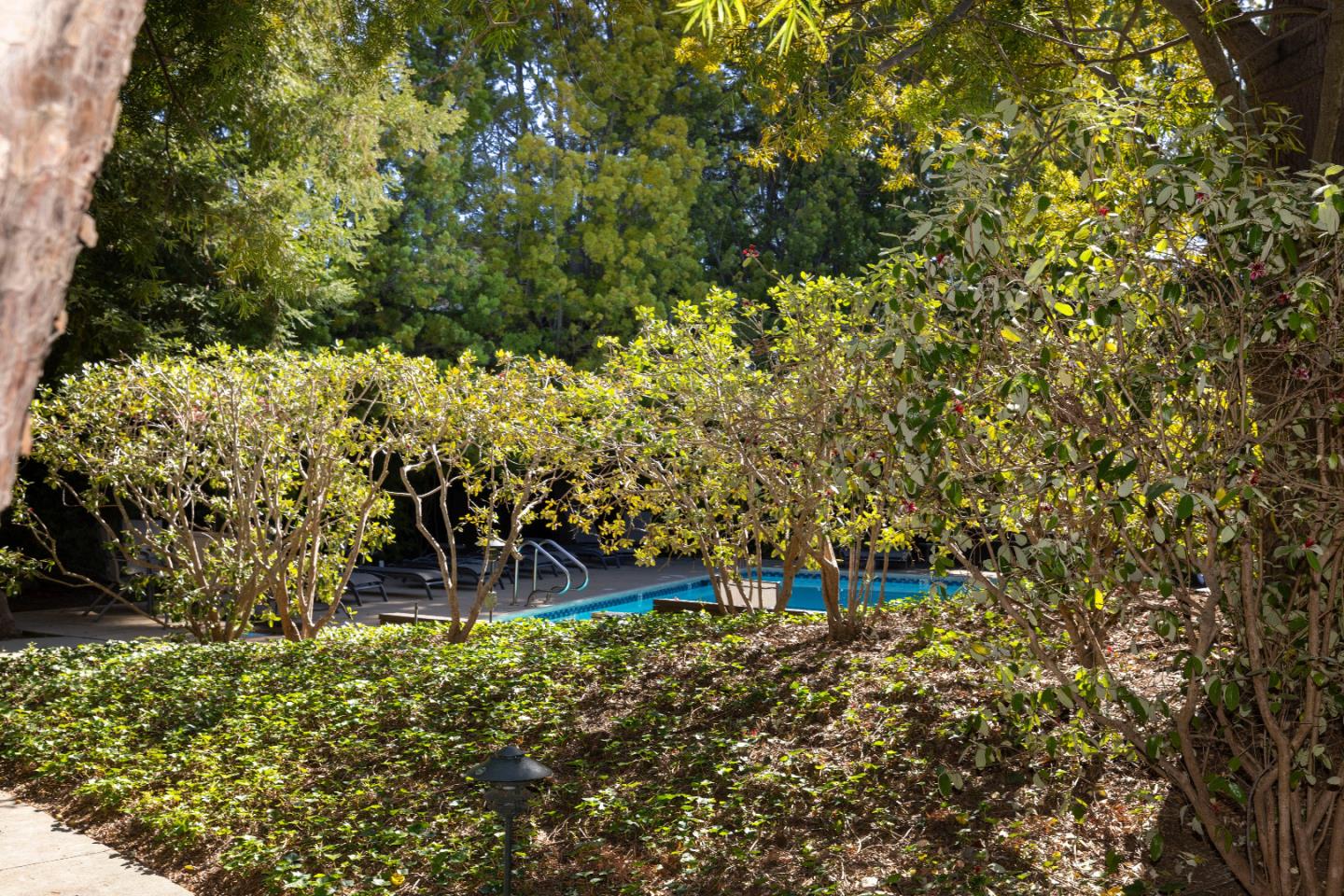 Photo #32: ML82045241 Listing: Photo #32