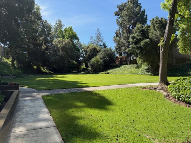 Photo #36: ML82045251 Listing: Photo #36