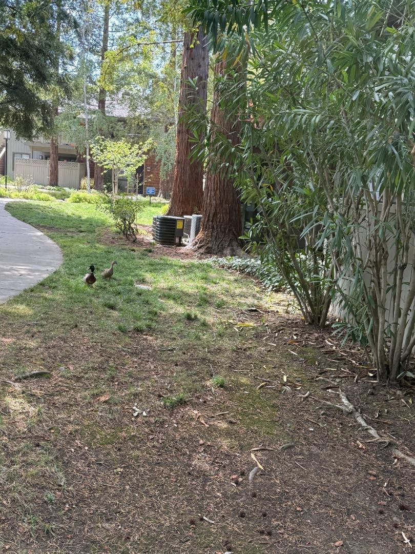 Photo #30: ML82045457 Listing: Photo #30