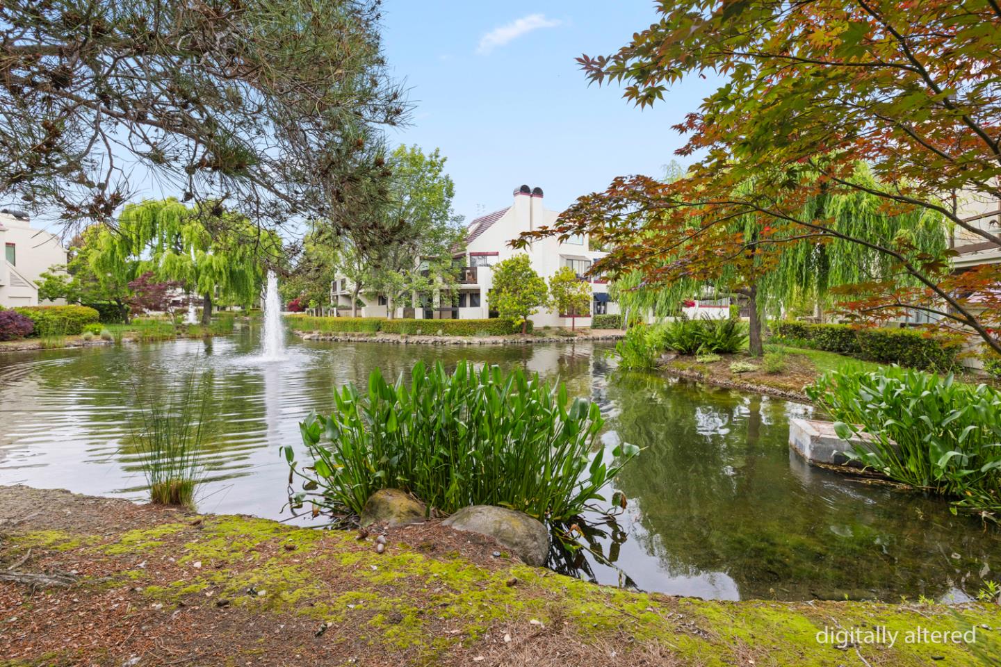 Photo #31: ML82045504 Listing: Photo #31