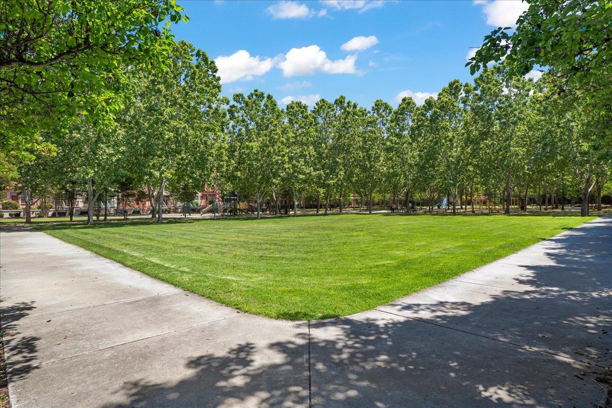 Photo #29: ML82045584 Listing: Photo #29
