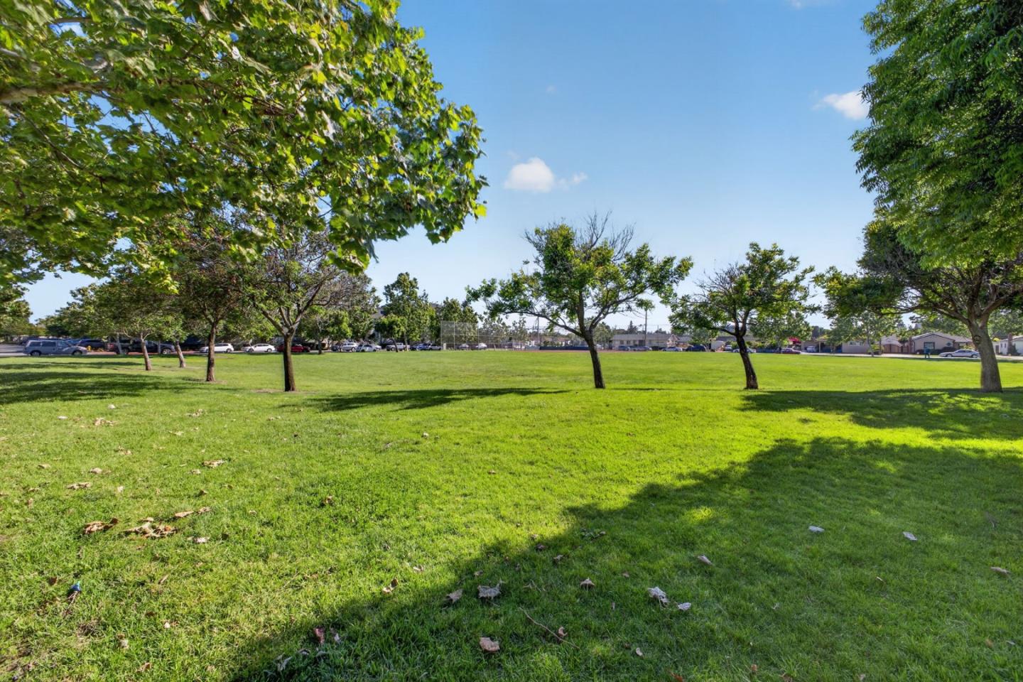 Photo #33: ML82045726 Listing: Photo #33