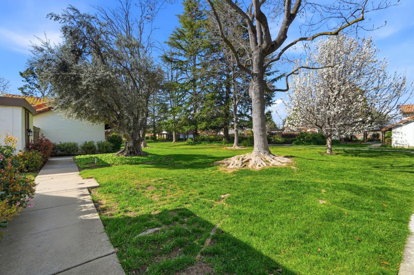 Photo #33: ML82045760 Listing: Photo #33