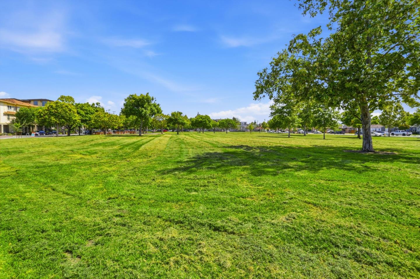 Photo #28: ML82046088 Listing: Photo #28