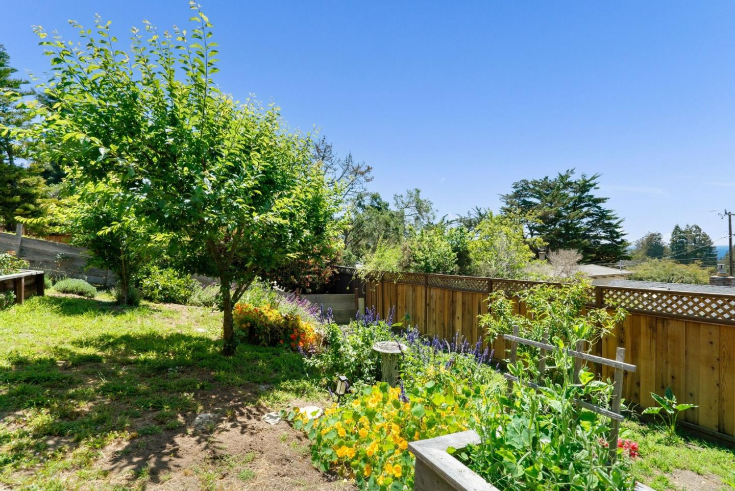 442 Vista Del Mar Dr, Santa Cruz County, CA 95003 photo 49