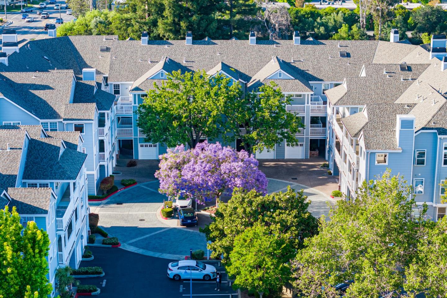 Photo #39: ML82046282 Listing: Photo #39