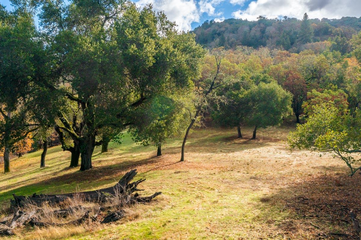 36 Arroyo Sequoia (Lot 117), Carmel, CA 93923, Photo 7