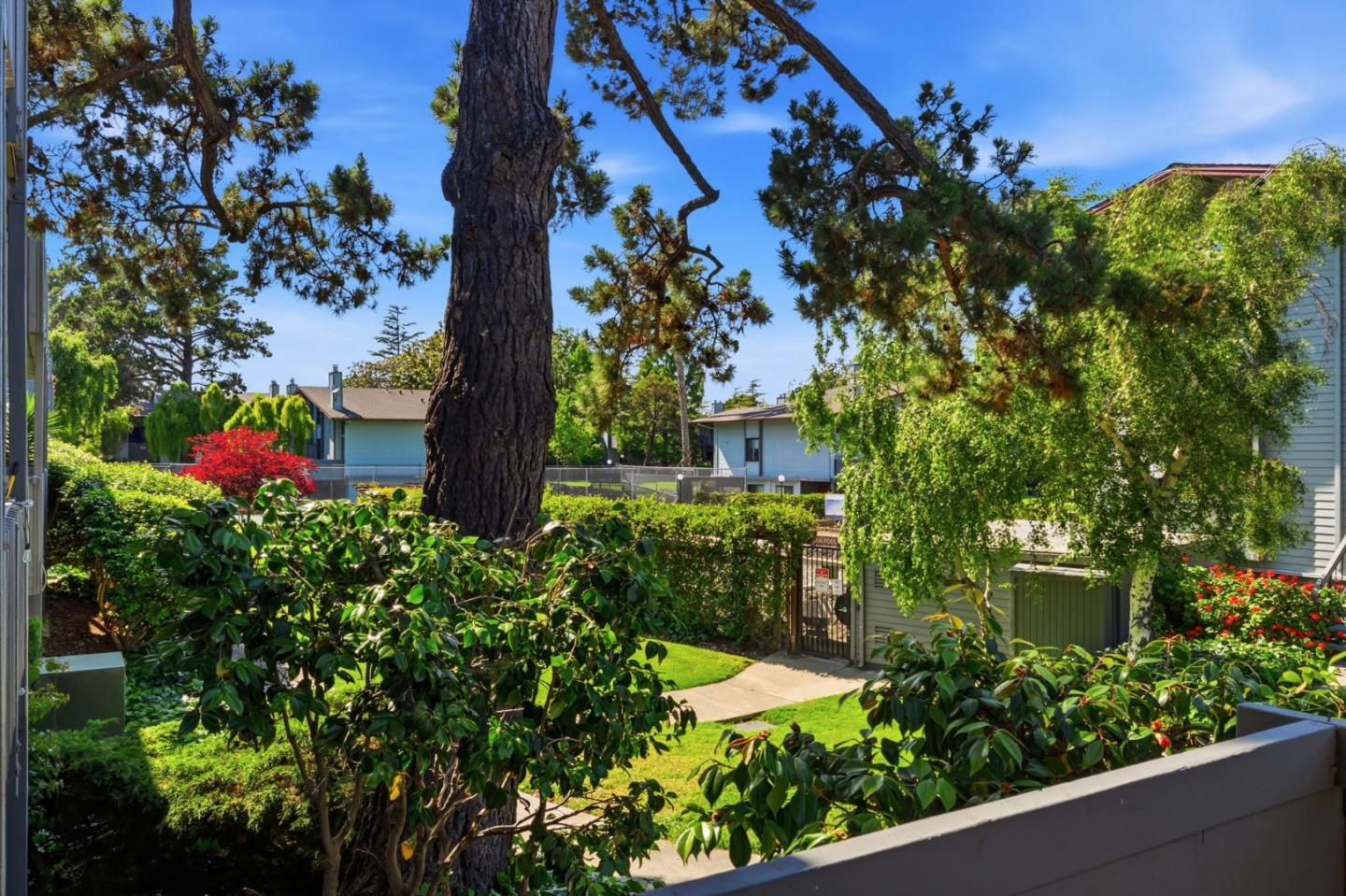 Photo #13: ML82046418 Listing: Photo #13