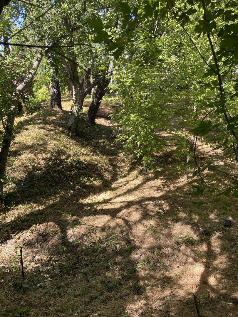 0 Vine Hill School RD, ScottsValley, CA 95066, Photo 3