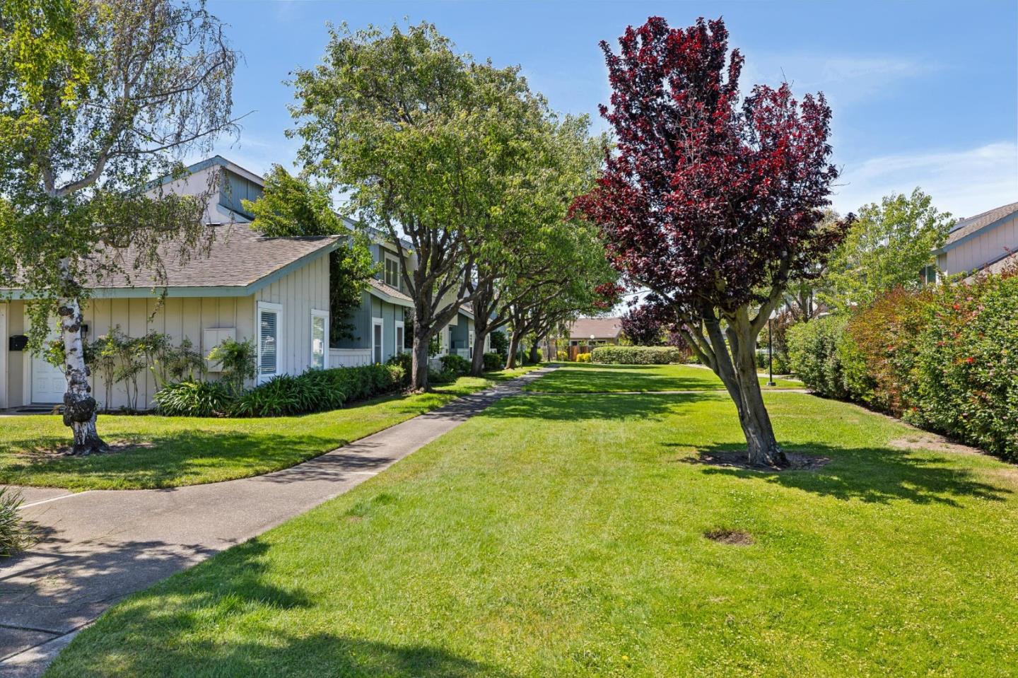 Photo #34: ML82047101 Listing: Photo #34