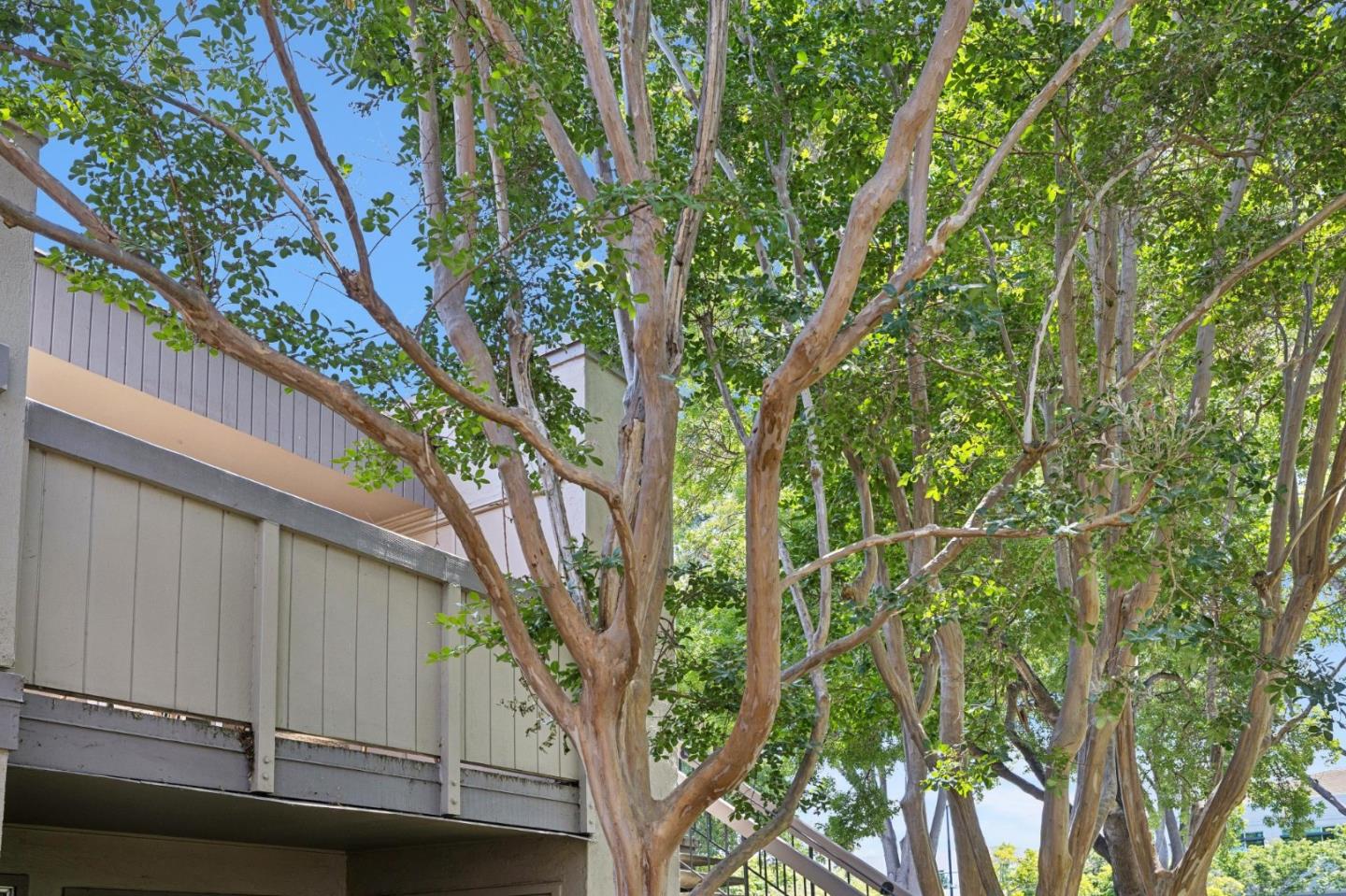 Photo #22: ML82047149 Listing: Photo #22
