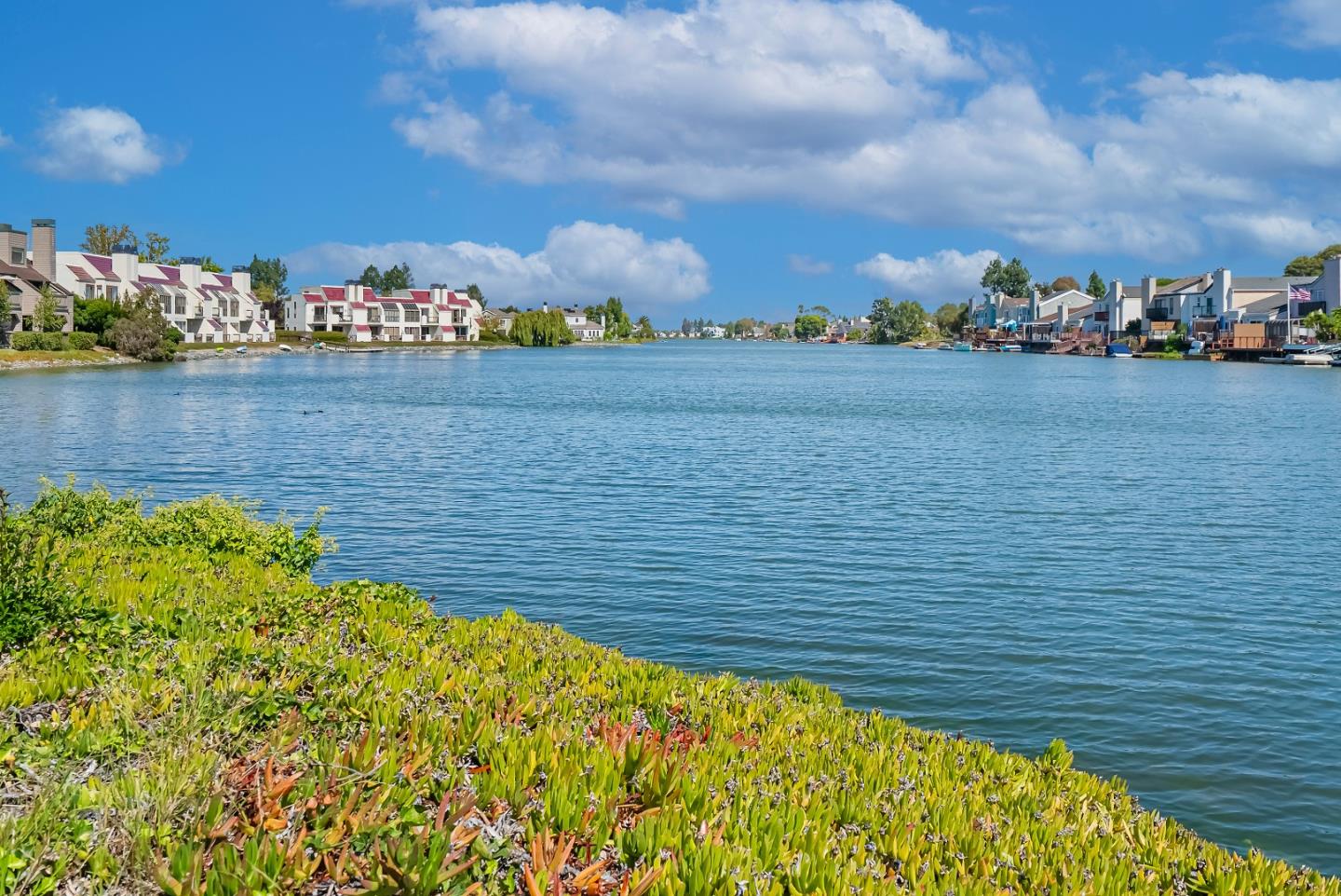 Photo #33: ML82047196 Listing: Photo #33