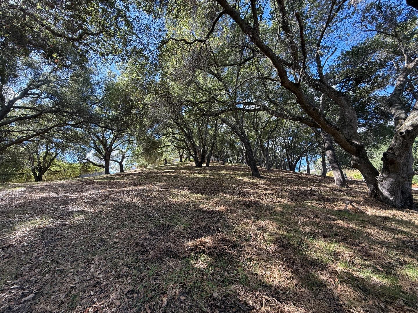 1920 Mantelli Dr, Gilroy, CA 95020, Photo 7