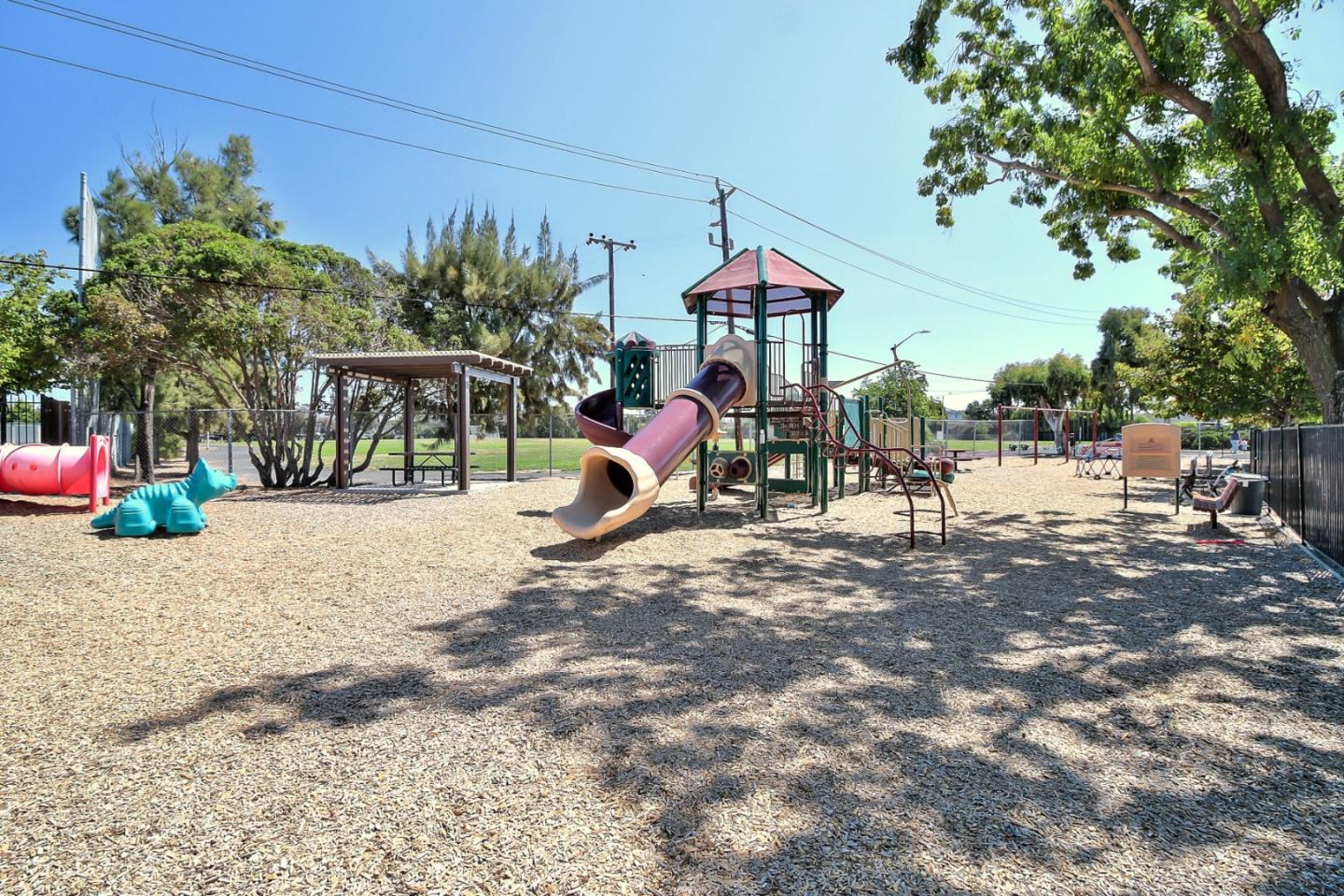 Photo 54