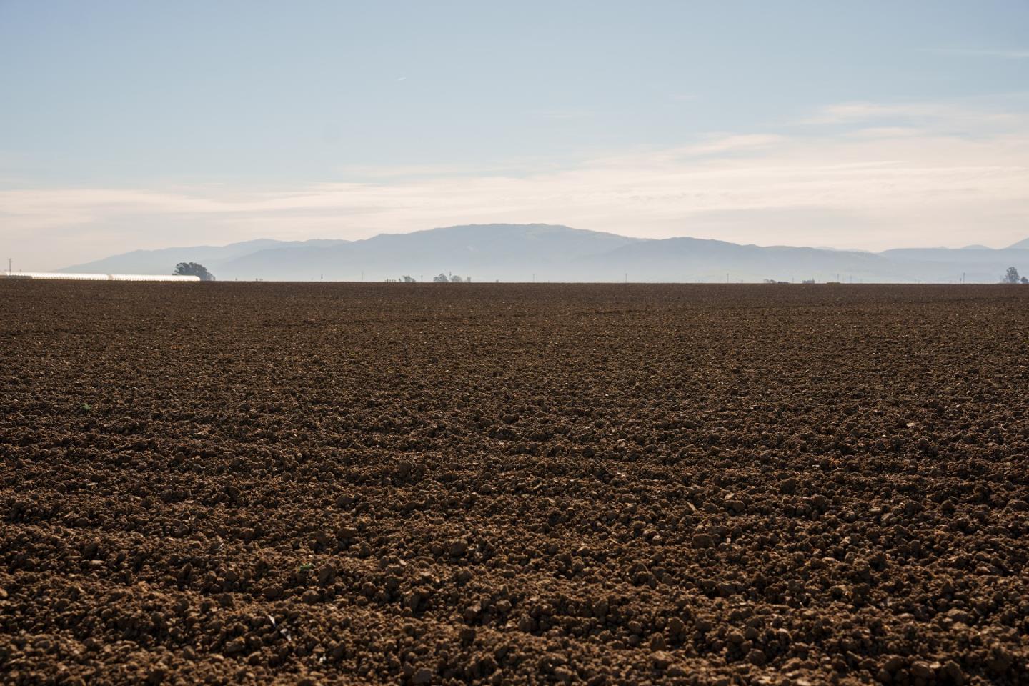 Espinosa Rd, Salinas, CA 93907, Photo 7