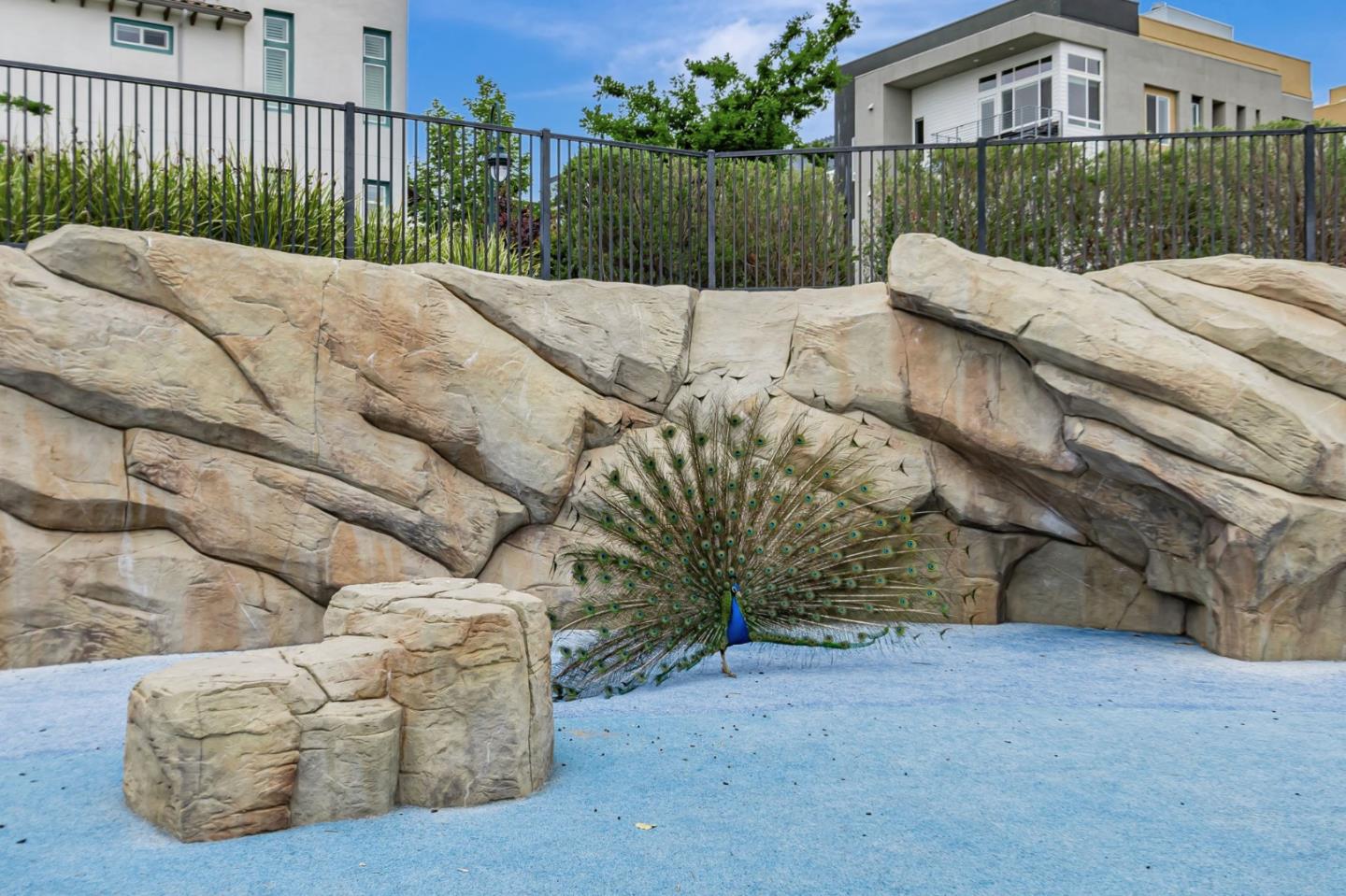 Photo #36: ML82047553 Listing: Photo #36