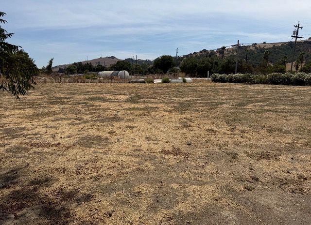 Hale AVE, MorganHill, CA 95037, Photo 5
