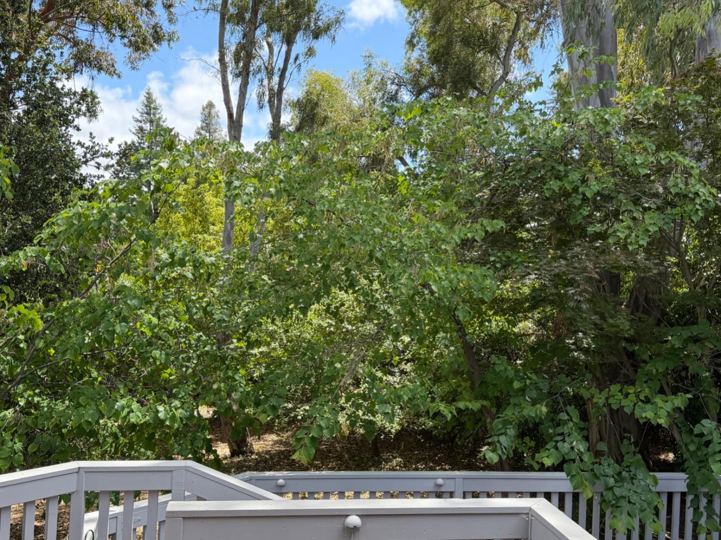 Photo #6: ML82048126 Listing: Photo #6