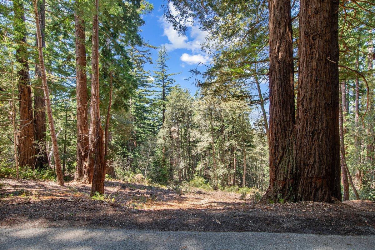 0000 Native Sons Rd, Woodside, CA 94062, Photo 6
