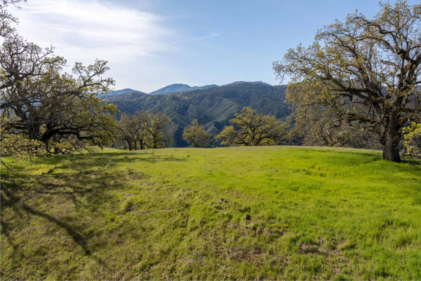 16 Long Ridge Trail (Lot 233), Carmel, CA 93923, Photo 7