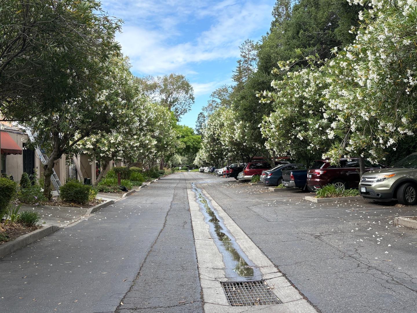Photo #24: ML82048633 Listing: Photo #24
