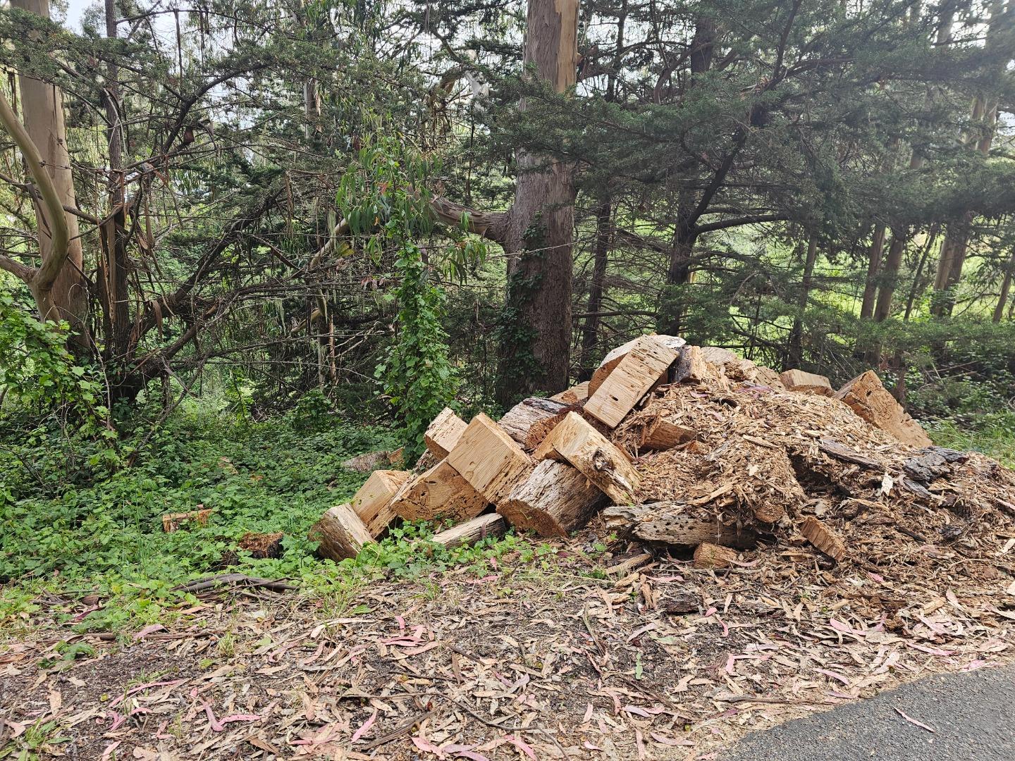 Verde Rd, HalfMoonBay, CA 94019, Photo 6