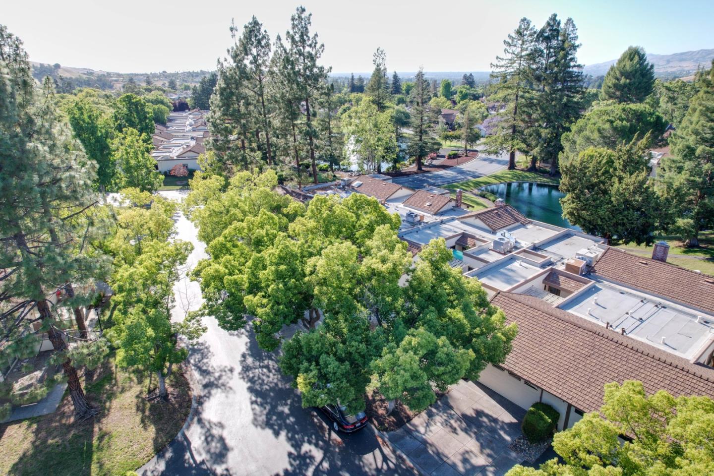 Photo #35: ML82049353 Listing: Photo #35