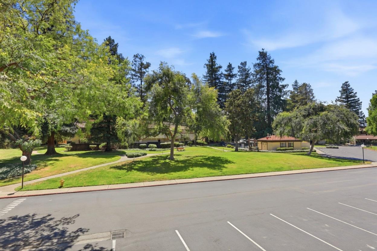 Photo #17: ML82049536 Listing: Photo #17
