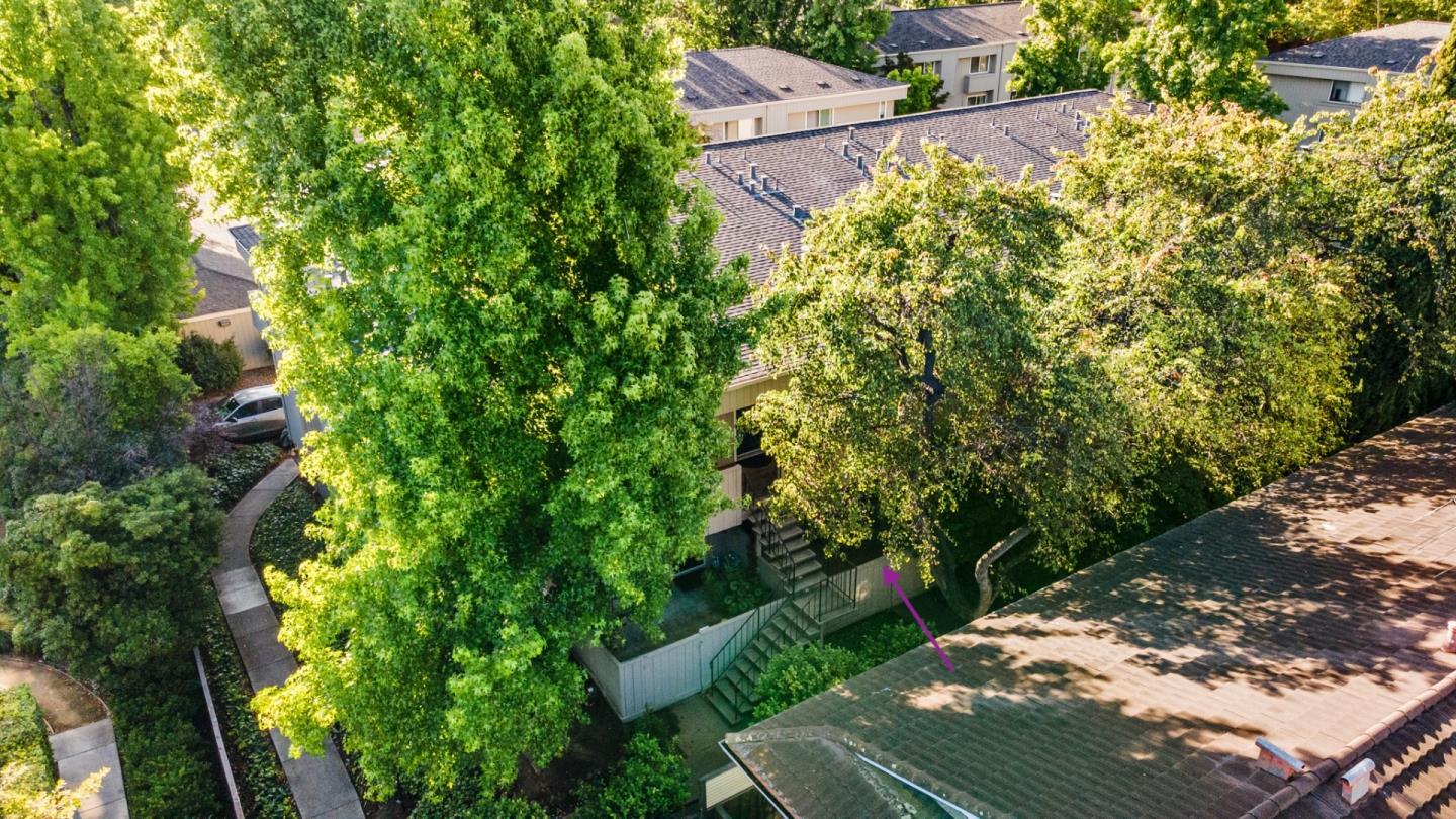 Photo #37: ML82049537 Listing: Photo #37