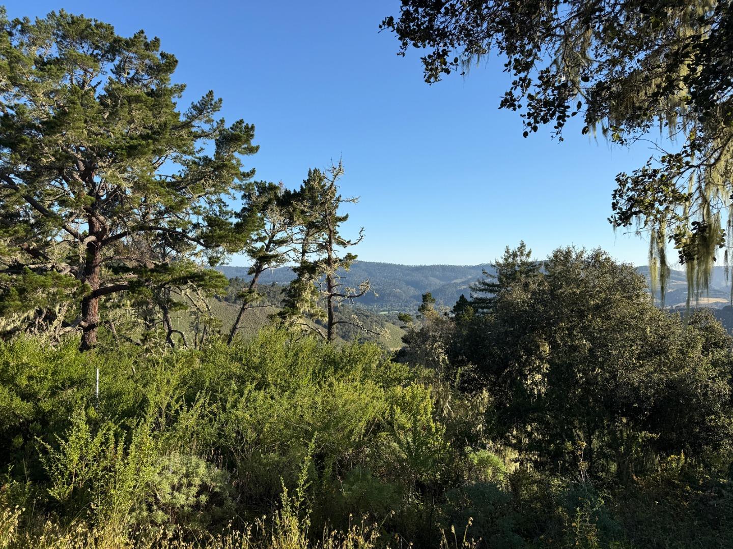 6 Rancho San Carlos (Lot E10) Rd, Carmel, CA 93923, Photo 6