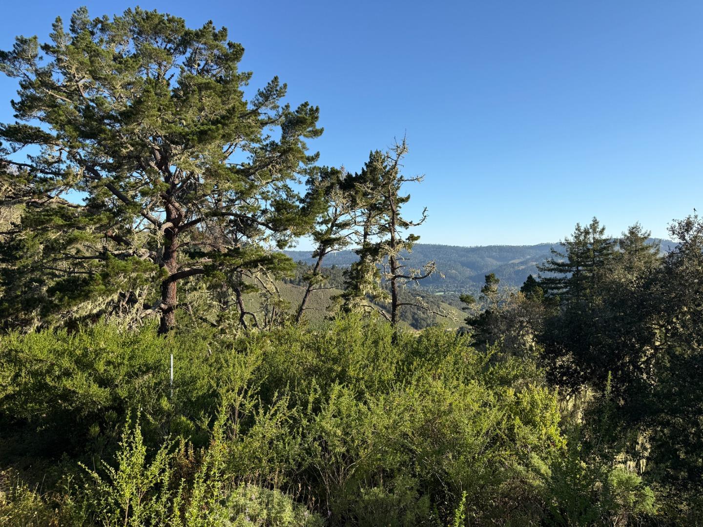 6 Rancho San Carlos (Lot E10) Rd, Carmel, CA 93923, Photo 7