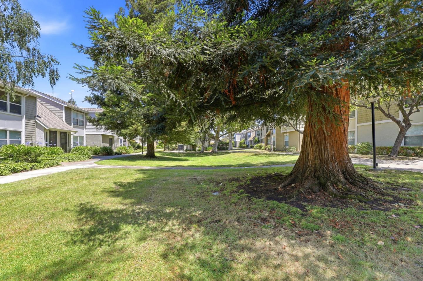 Photo #22: ML82049855 Listing: Photo #22