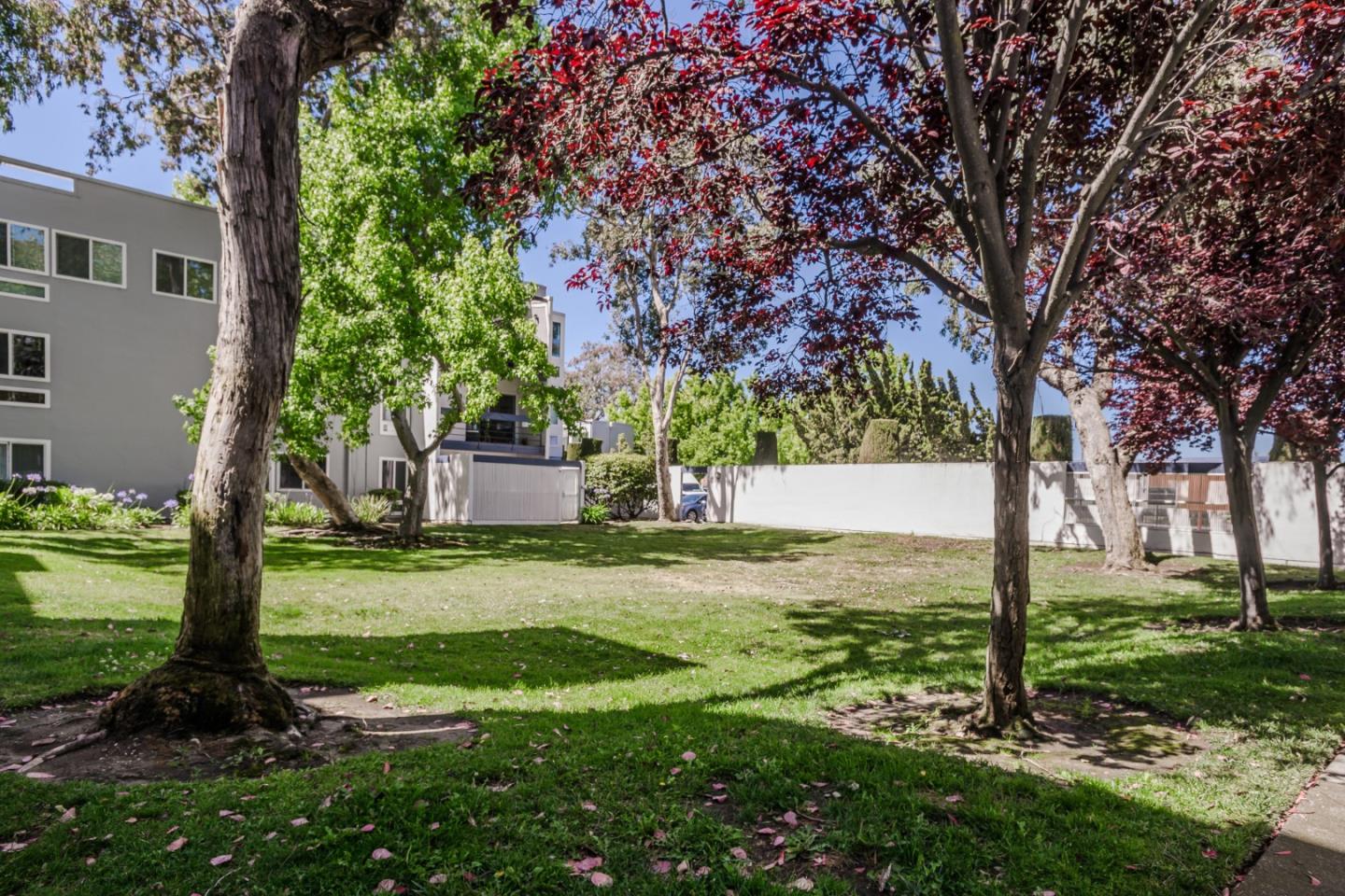 Photo #19: ML82050057 Listing: Photo #19