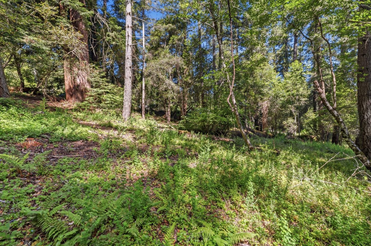 0 Garfield WAY, Felton, CA 95018, Photo 4