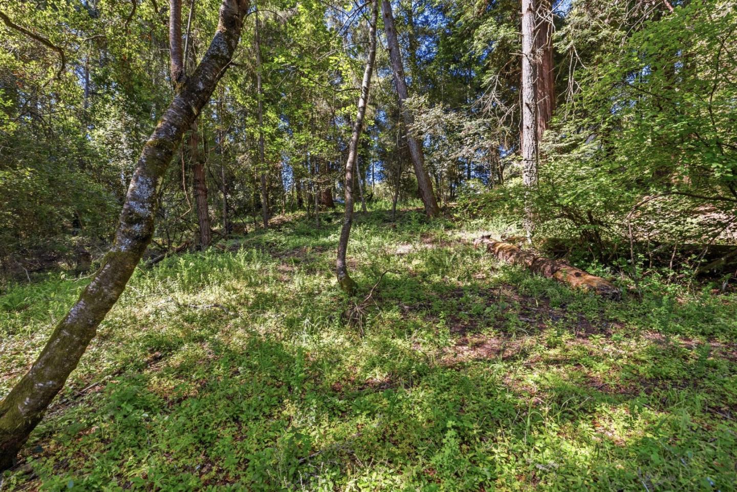 0 Garfield WAY, Felton, CA 95018, Photo 5
